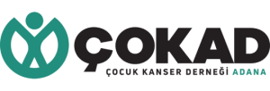 Çokad