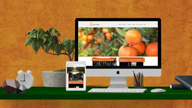 SA Tekin — İnternet Sitesi Tasarımı