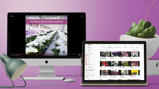 Garden Koala — YouTube Kanalı
