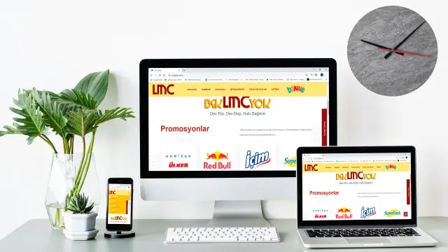 LMC Gıda — İnternet Sitesi Tasarımı