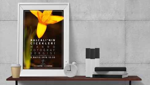 Altınoran Düşünce ve Sanat Platformu - Poster-Afiş