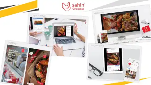 Şahin Tavukçuluk - Ajans Hizmetleri